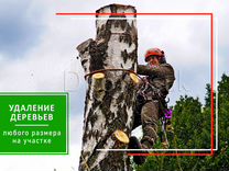 Обрезка, валка, удаление, спил деревьев в Боровске
