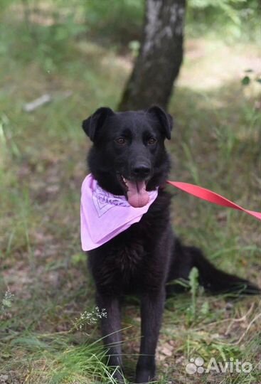 Лиз.Только посмотрите на неё