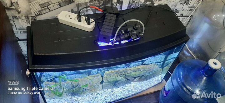 Аквариум акваэль