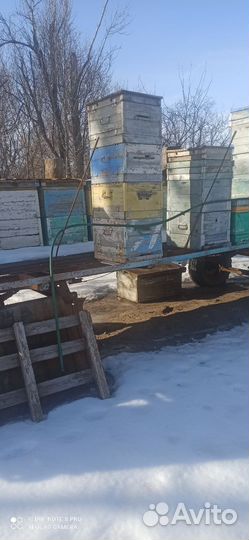 Прицеп пчеловодческий