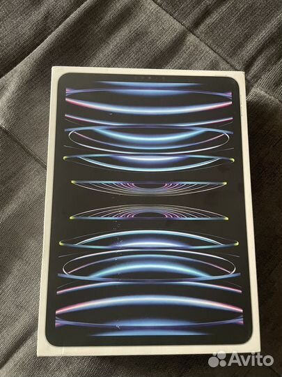 iPad pro 11 2022 256gb wifi + cellular