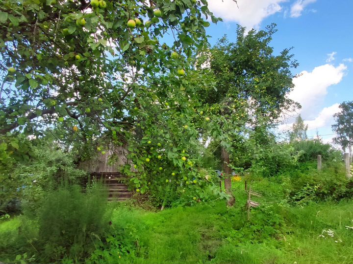 Дом 45 м² на участке 33 сот.