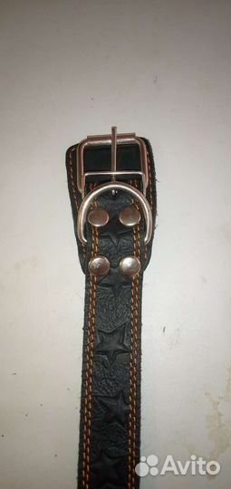 Ошейник для собак