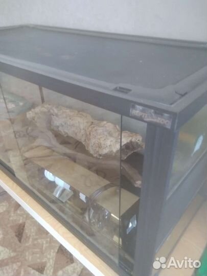 Террариум для рептилий бу