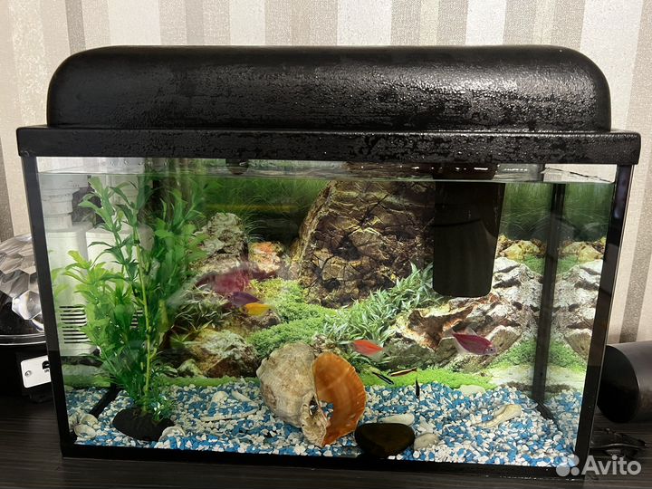 Аквариум 15 л
