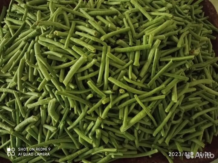 Фасоль стручковая