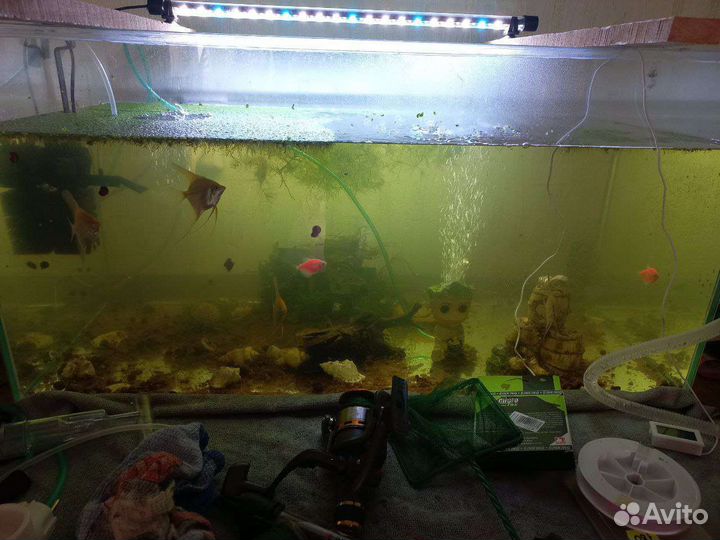 Аквариум