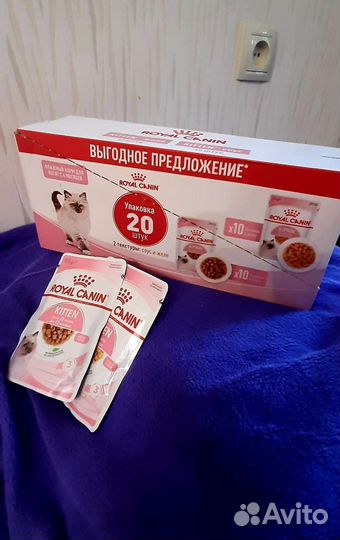 Влажный корм для котят Royal canin