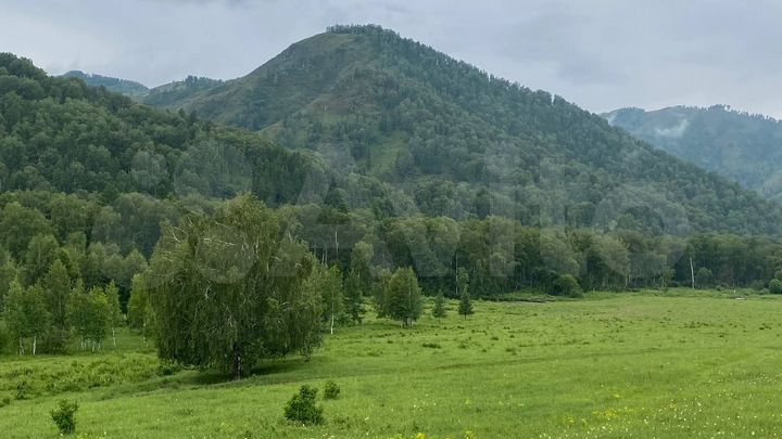 Участок 10 сот. (СНТ, ДНП)