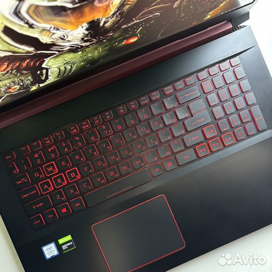 Игровой ноутбук Acer Nitro i5/GTX1660TI/17.3/IPS