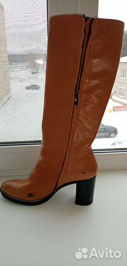 Сапоги женские демисезонные