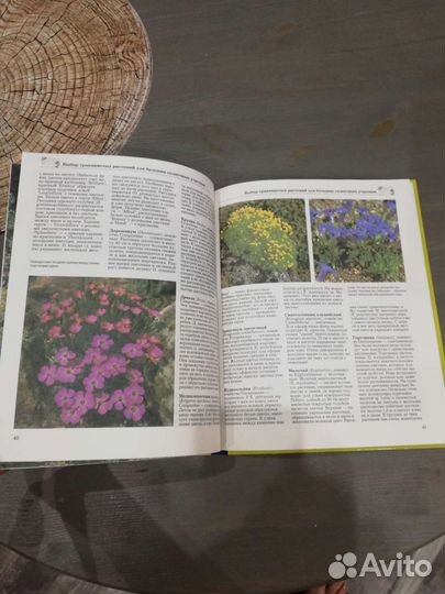 Книга “Альпийские горки в Вашем саду