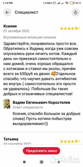 Ветеринар на дом.Ветврач. Ратолог. Орнитолог