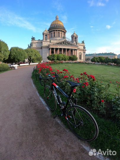 Шоссейный велосипед Domane AL3 2020