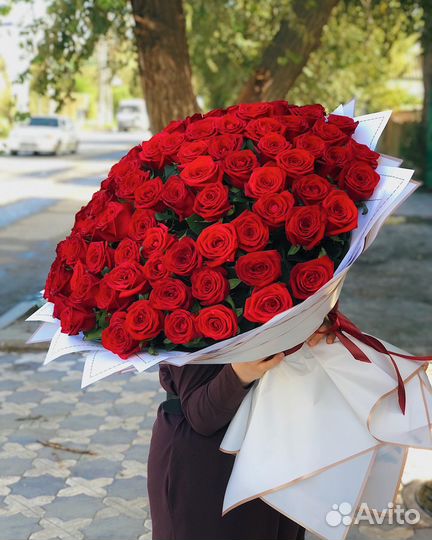 51 101 35 31 21 роза Букет Доставка