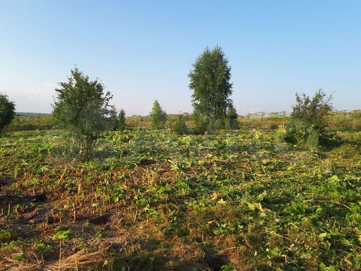 Участок 10 сот. (ИЖС)