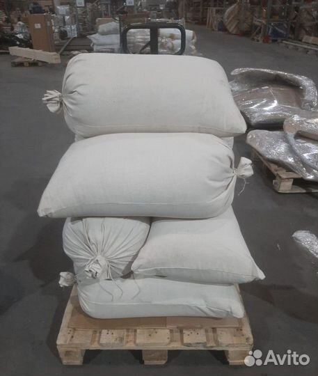 Семена ели на заказ