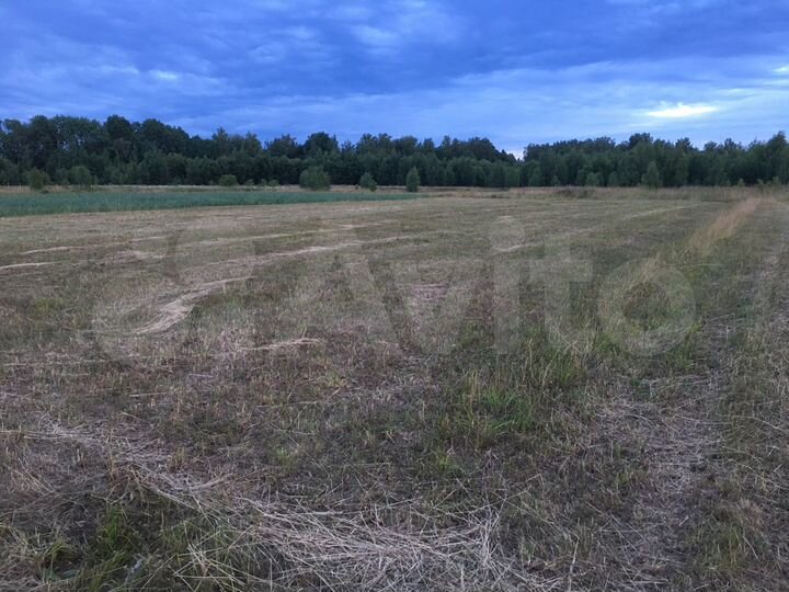 Участок 15 сот. (ИЖС)
