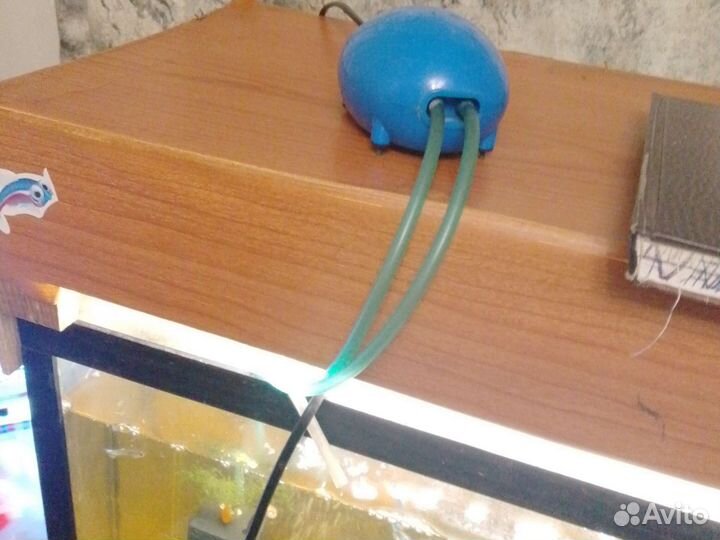 Аквариум