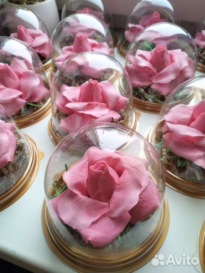 Роза(мыльная) в куполе