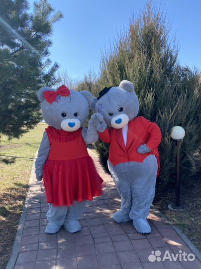 Мишка тедди аниматор