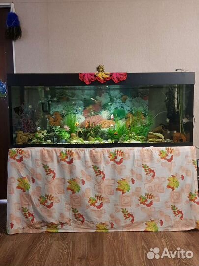 Аквариум