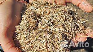 Костра льна