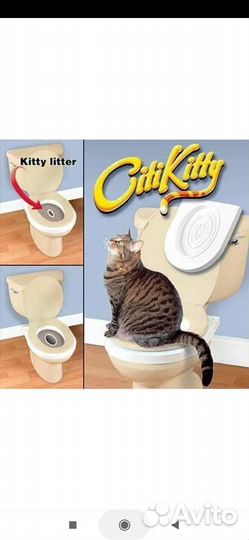 Лоток для кошек