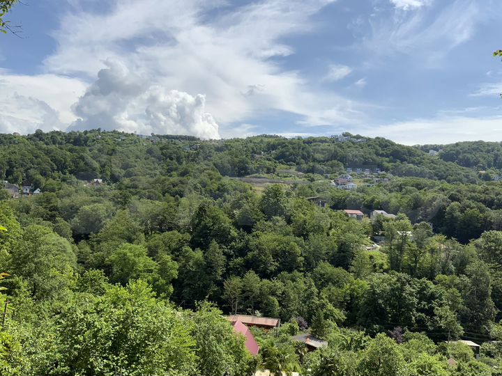 Участок 9,5 сот. (СНТ, ДНП)