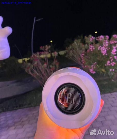 Колонка JBL Pulse 4 (Арт.12995)