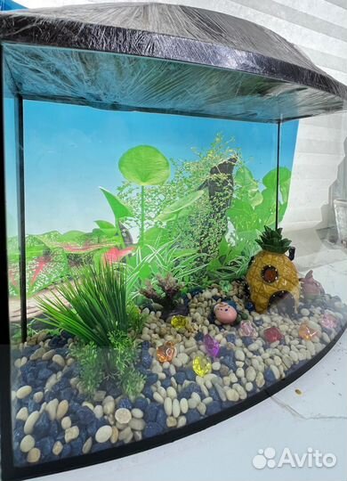Аквариум