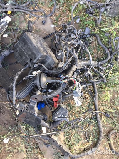 Проводка моторная Mazda CX-5 2литра 2013 год