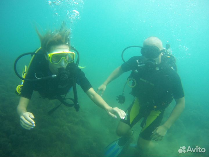 Дайвинг Сочи