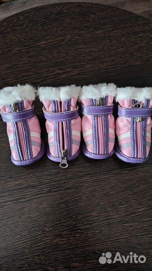 Ботинки для собак
