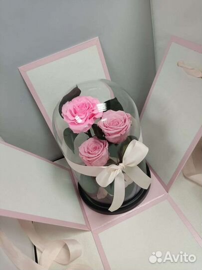 Роза в колбе