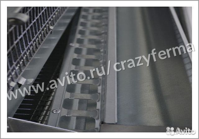 Клетка на 150 перепелов