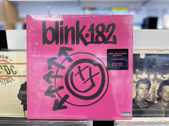 Виниловые пластинки Blink-182