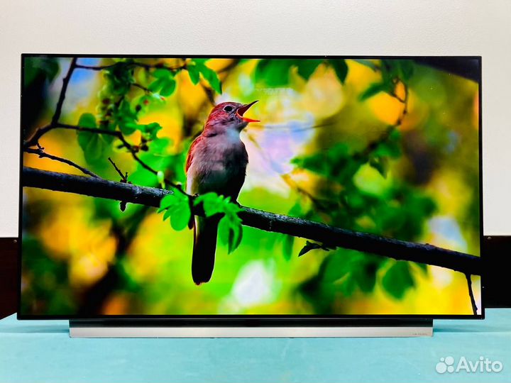 Oled Телевизор для дачи LG 55C1