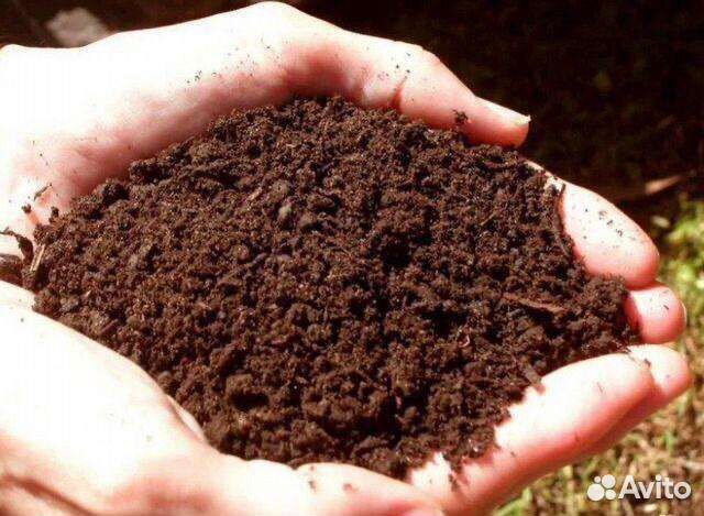 Конский перегной