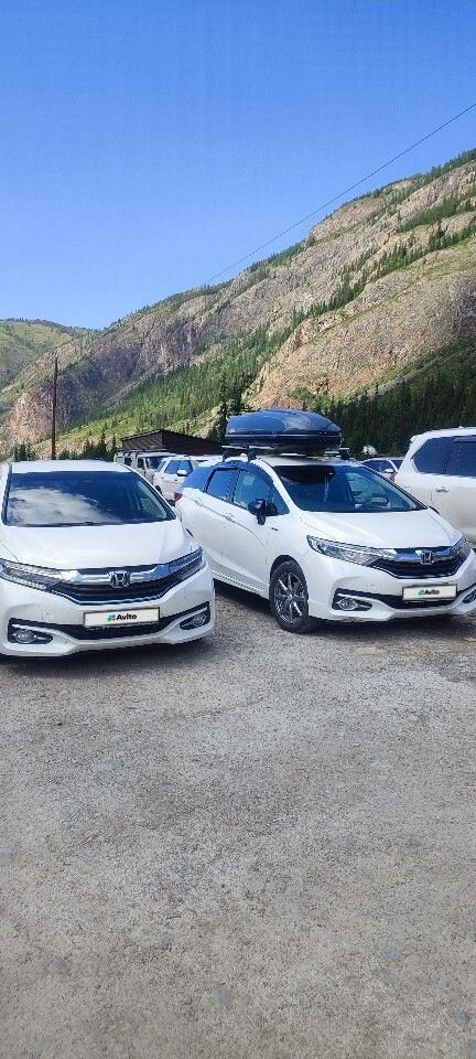 Honda Shuttle: фото владельца