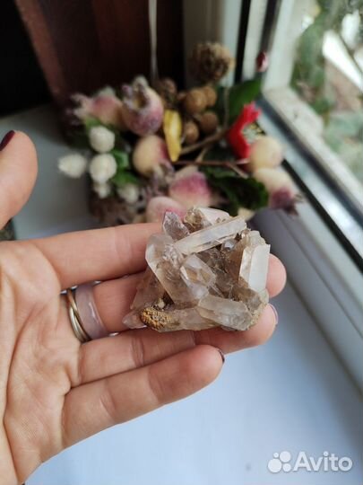 Друзы в асс