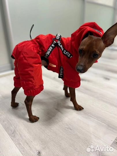 Комбинезон для собак дождевик новый