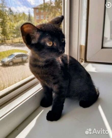 Девочка и мальчик