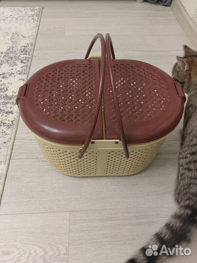 Переноска для кошек пластиковая