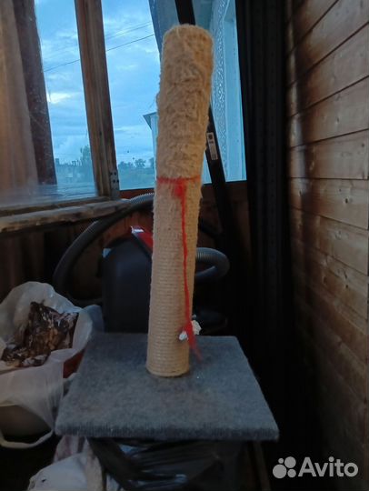 Когтеточка