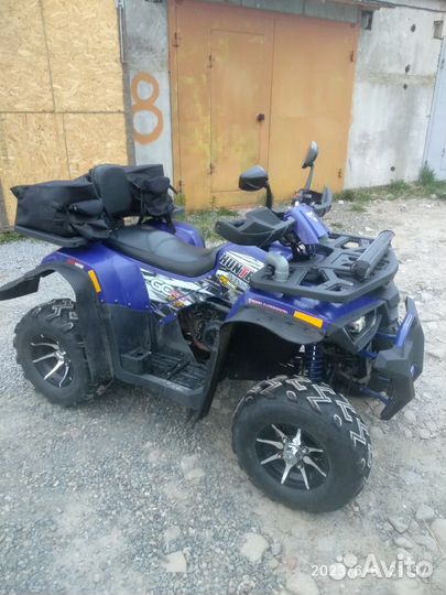 Avantis hunter 200 new