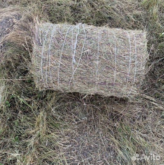 Сено в тюках