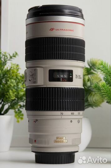 Canon EF 70-200mm f/2.8L IS USM