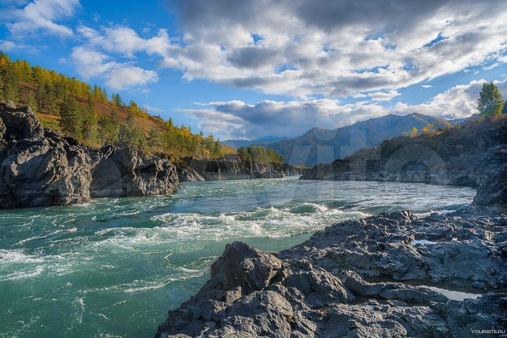 Участок 11 сот. (СНТ, ДНП)