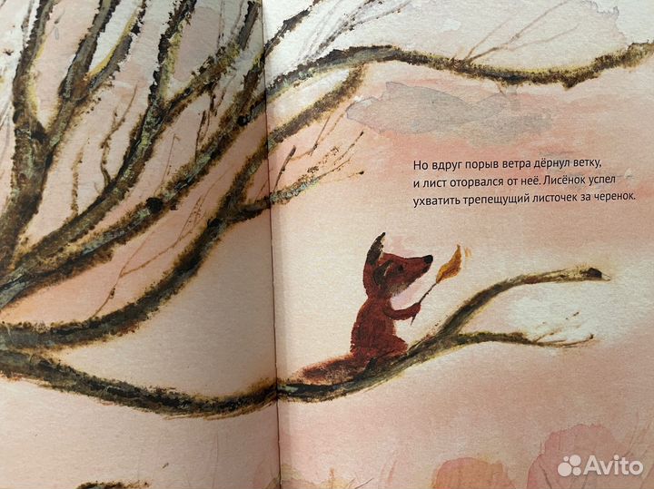 Серия детских книг Лисенок Лютер Самокат